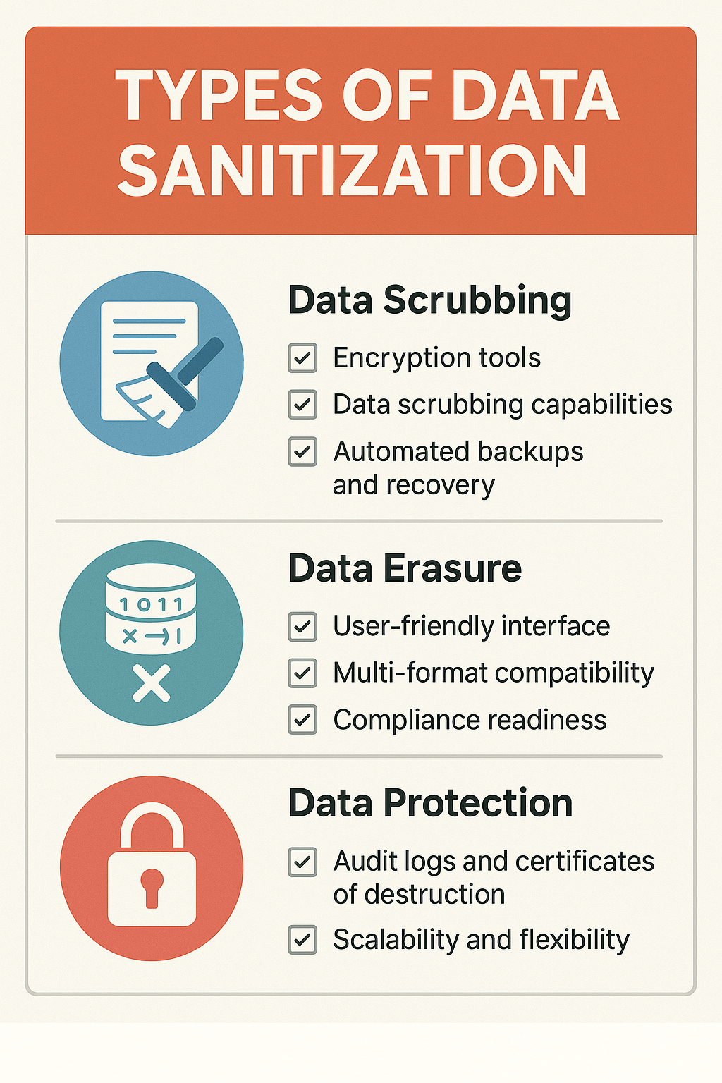 types of data sanitation infographic
